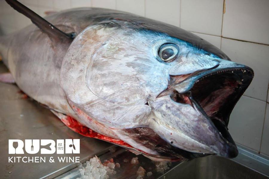 Rubin Kitchen&Wine Rooms Crikvenica Bagian luar foto